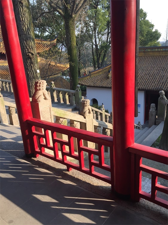 狼山观海2017南通马拉松自行车210KM骑行大